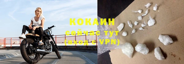 каннабис Богданович