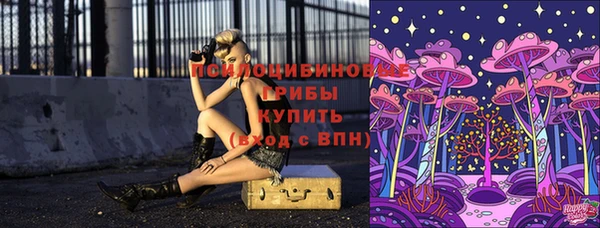 герыч Богородицк