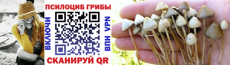 Псилоцибиновые грибы ЛСД  МЕГА зеркало  Шацк  как найти наркотики 