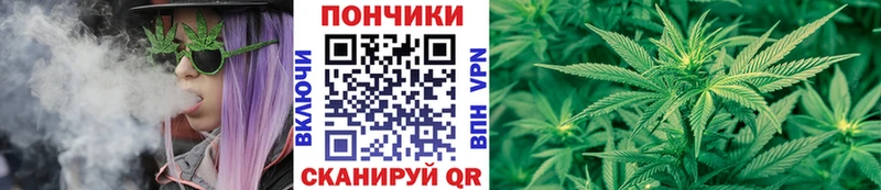 как найти наркотики  Шацк  Каннабис THC 21% 